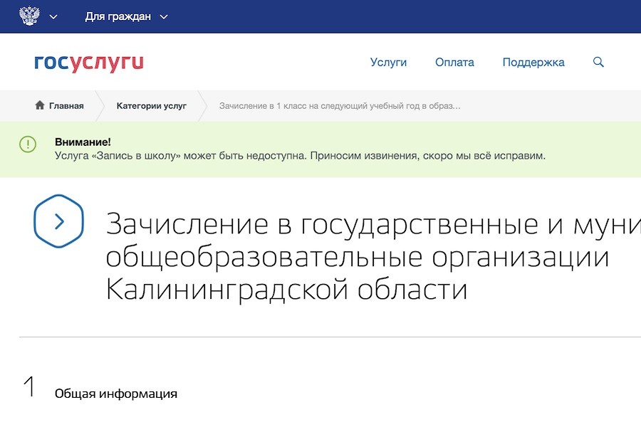 Калининградцы столкнулись с проблемами на Госуслугах при записи детей в первые классы