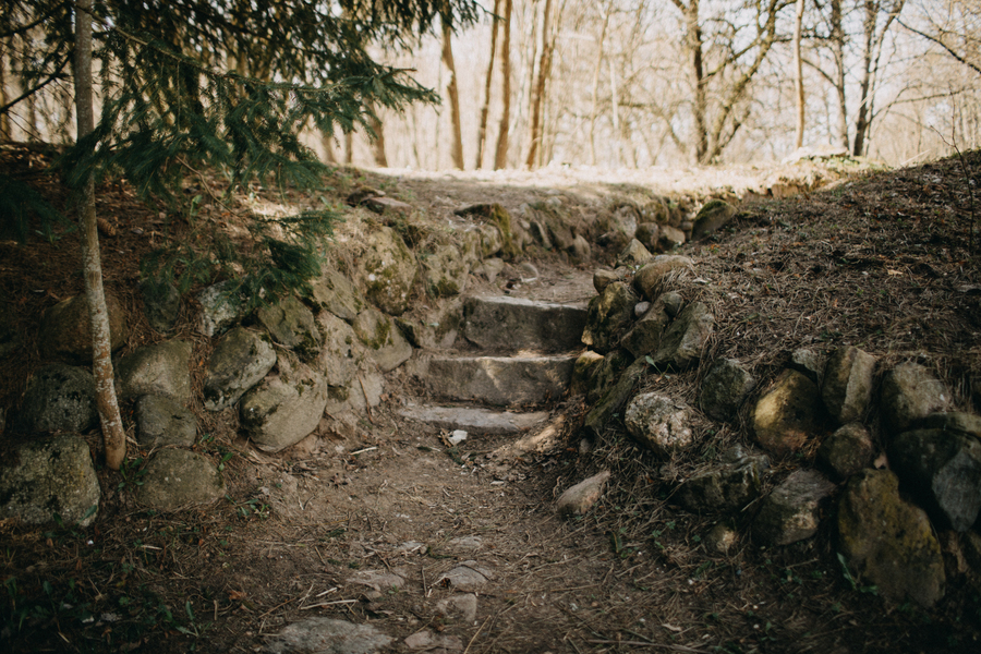 Социальная ловушка: как немецкий дом в Суходолье превратили в резиденцию для уличных художников (фото)