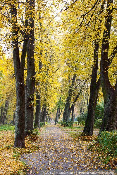 Днём совсем не страшно: осенний Балтийский парк