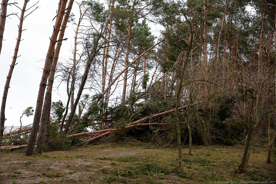 Кто здесь царь: последствия штормов на побережье (фото)
