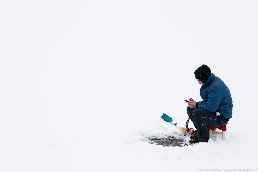 Белый снег, серый лёд: зима в Калининграде (фото)