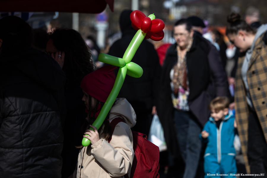 Мимозно-тюльпанный ажиотаж: Калининград накрыла традиционная цветочная лихорадка (фото)