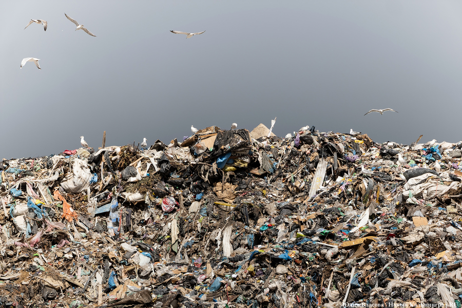 «Стихией управлять не научились»: как глава Минприроды РФ понюхал воздух в Круглово (фото)