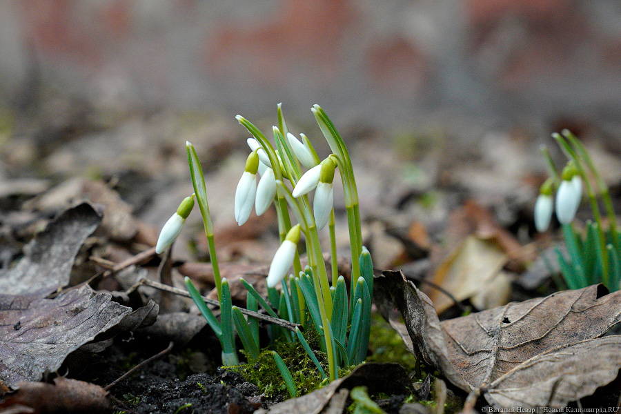 Теория целых окон: волонтеры пытаются спасти здание на Расковой с помощью уборки (фото)