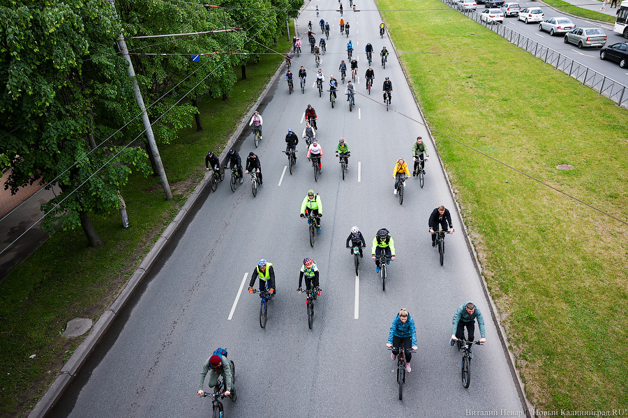 Лыжи, велики, унициклы: как прошёл велопарад в Калининграде (фото)
