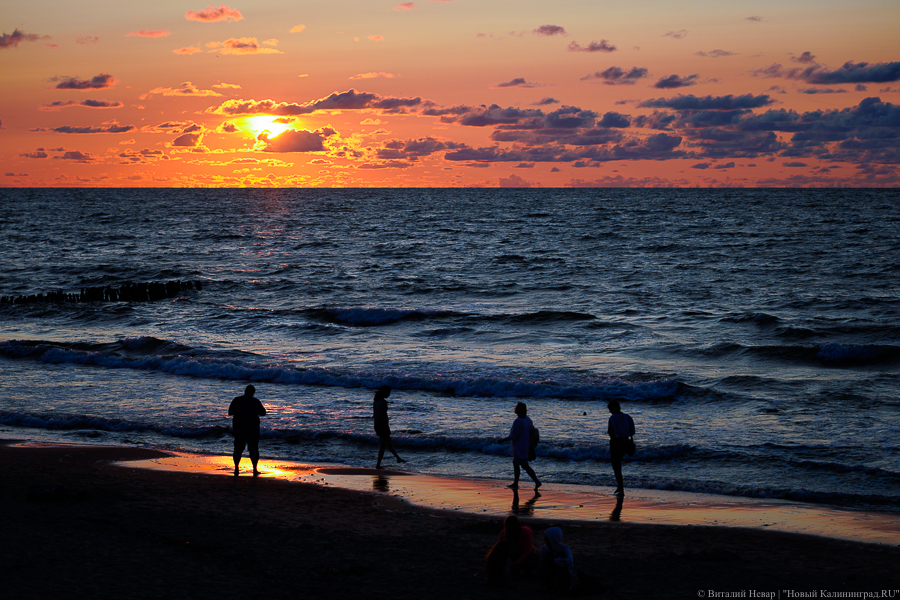 Фото: Виталий Невар / Новый Калининград 