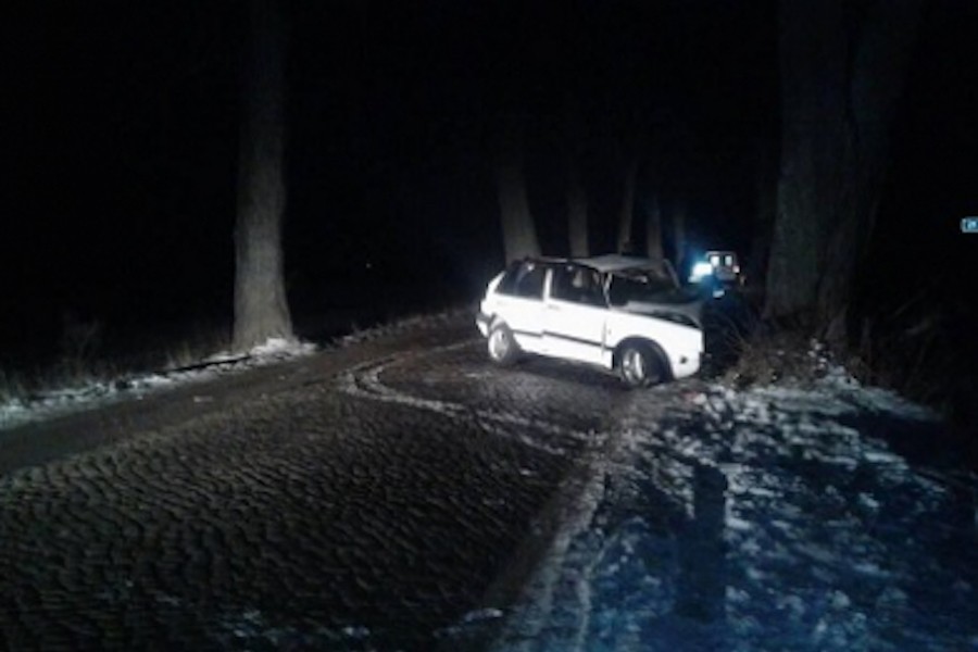 Под Гурьевском двое подростков на «Фольксвагене» врезались в дерево (фото)