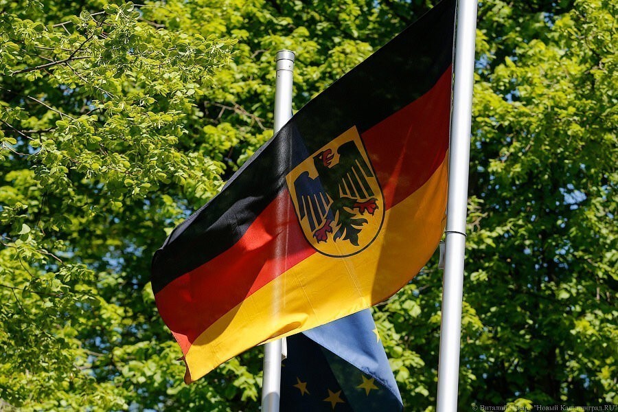 Bild: Германия рассчитывает полностью открыть границы с 15 июня