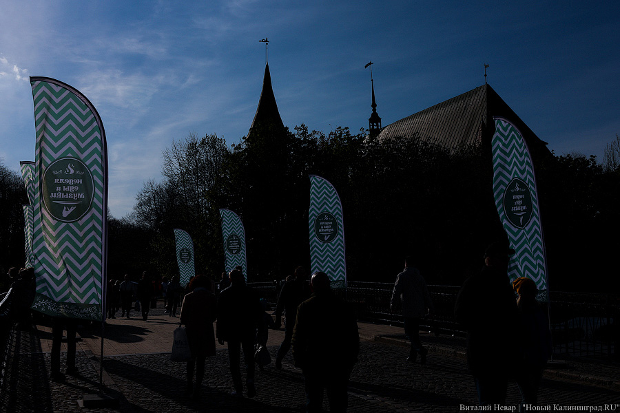 Шашлычок под медлячок: на острове Канта стартовала «Неделя еды и музыки» (фото)