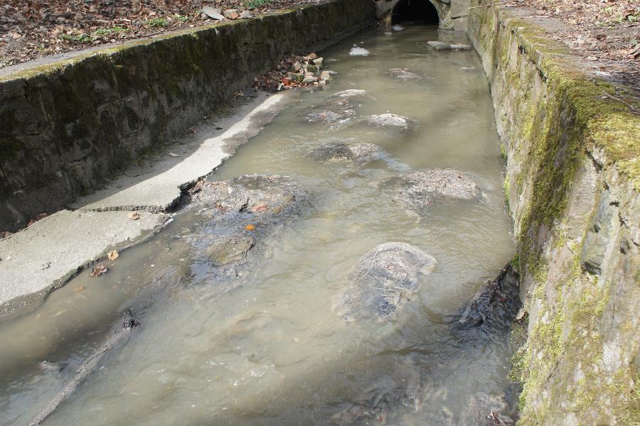 «Говняшки плывут»: в ручей Парковый продолжают сливаться нечистоты (фото)