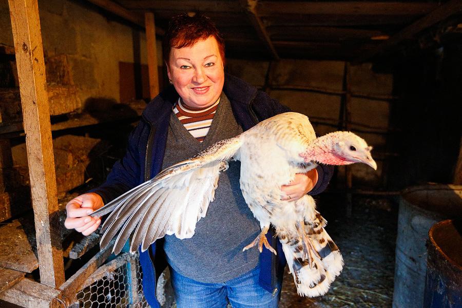 «Боосбан нас отрезал»: жизнь поселка Матросово рядом с Приморским кольцом