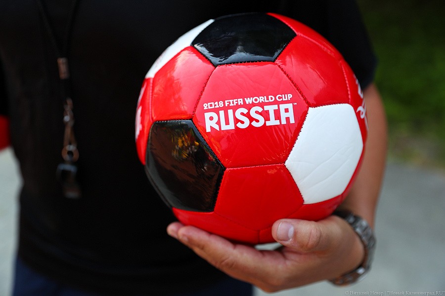 Все мы разные, все мы равные: в Калининграде открыли инклюзивный парк (фото)