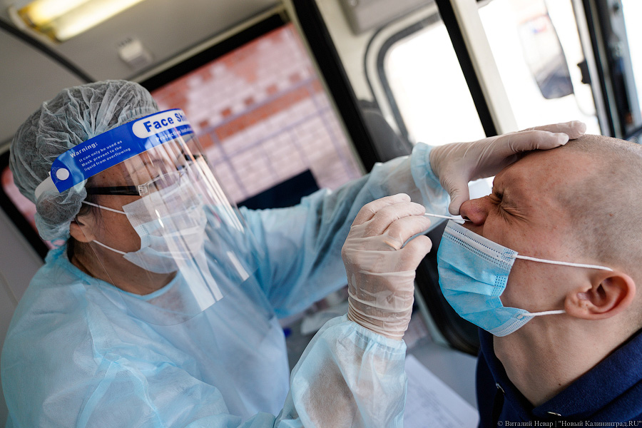 Тесты, маски, прививки: на Балтфлот отправили первых призывников весны-2021 (фото)