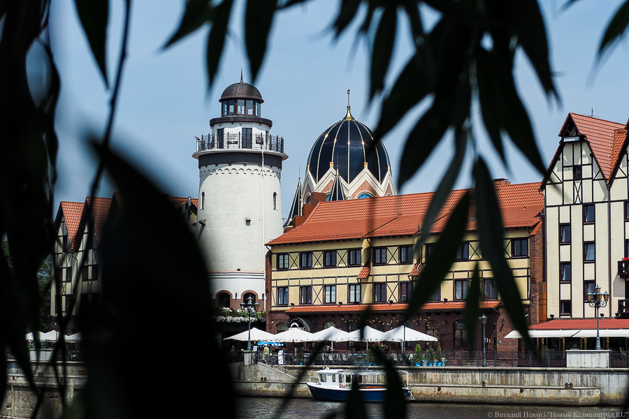 Фото: Виталий Невар / Новый Калининград 