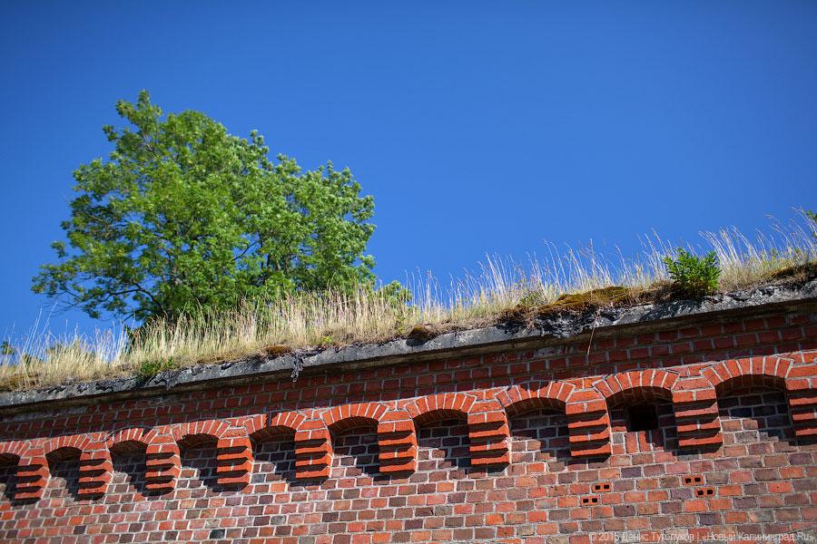 С легендами и зоопарком: форт Дёнхофф под Калининградом открылся для туристов