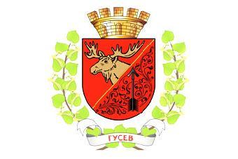 ФАС проверяет законность закупки властями Гусева «Ниссана» за 1,2 млн рублей