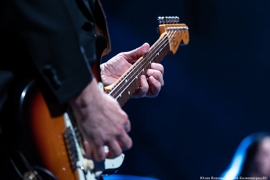 Фото: Юлия Власова / Новый Калининград