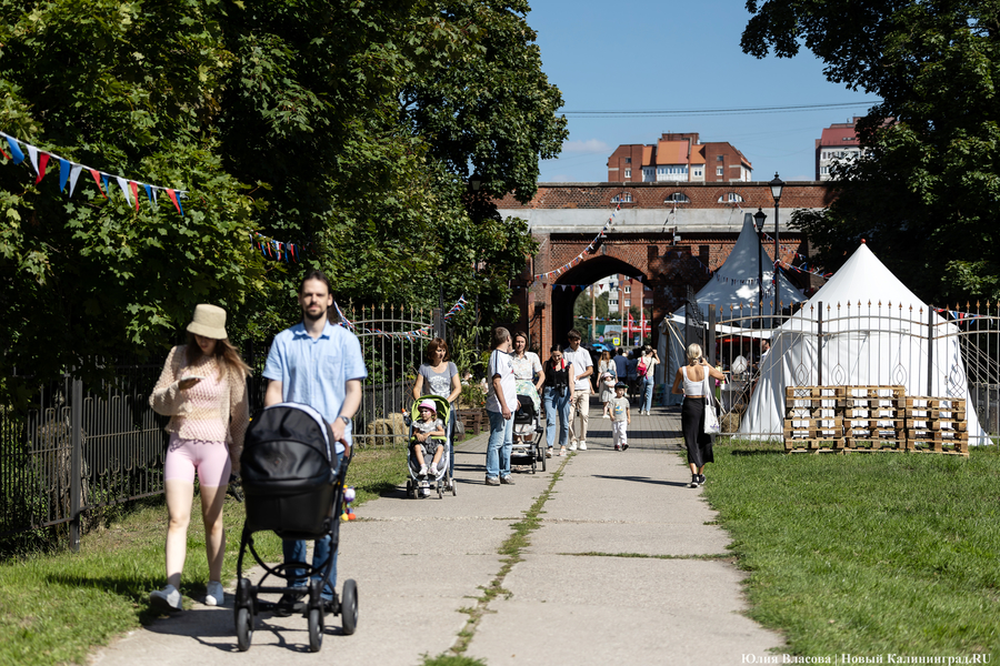 «Цветы против пивных бутылок»: как прошел фестиваль «Хранителей руин» (фото)