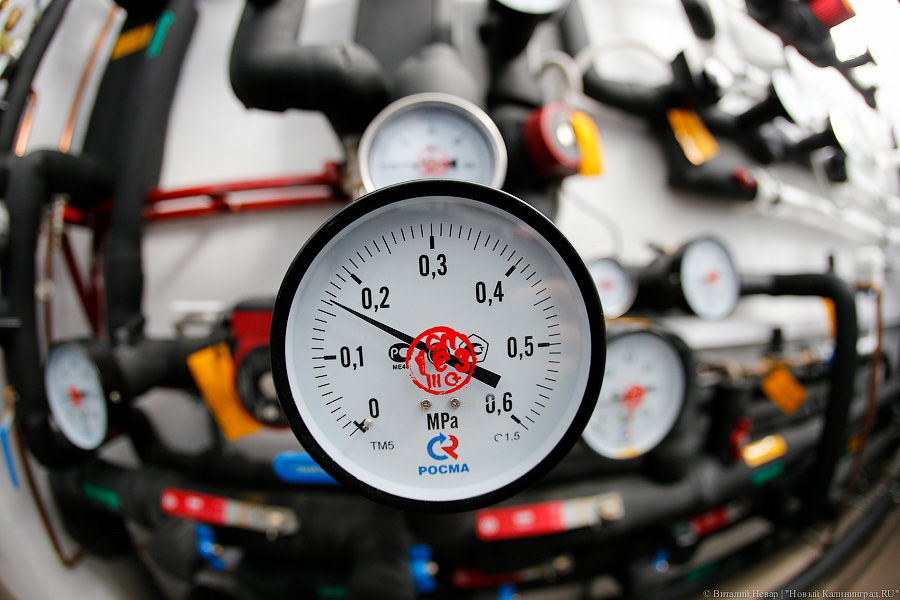 Фото — Виталий Невар, «Новый Калининград.Ru»