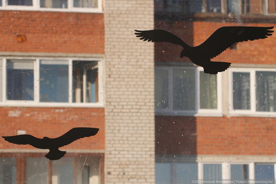 "С новой точки зрения": фоторепортаж