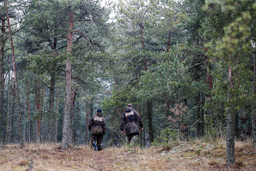 Фото: Виталий Невар / Новый Калининград