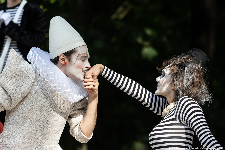 Это просто цирк какой-то: фестиваль «Башня» запустил уличную программу на «Балтике» (фото)