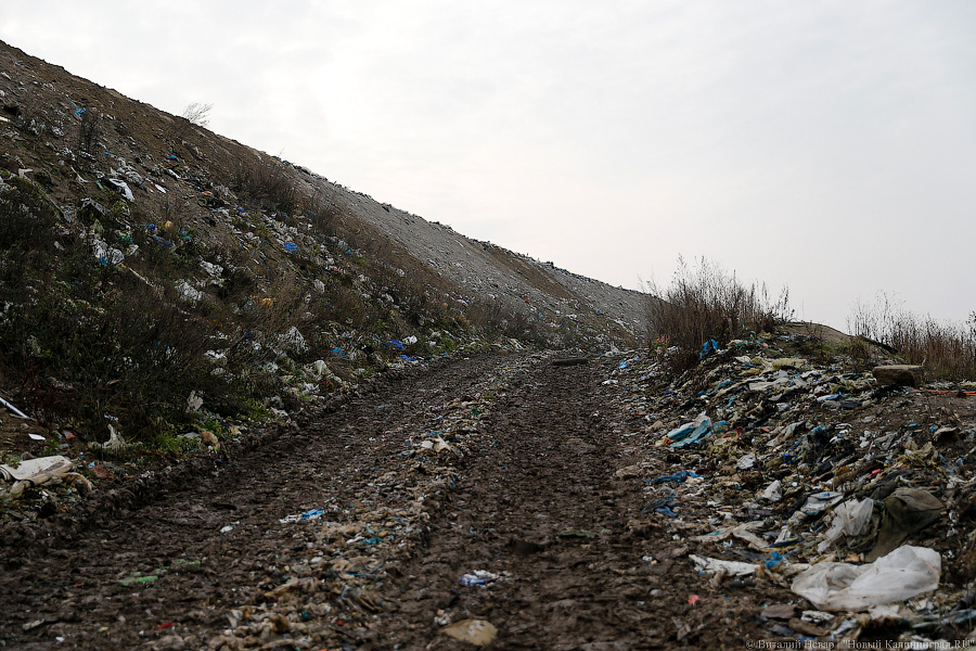 Для вызывавшего нарекания полигона ТБО в Жаворонково заказали очистные