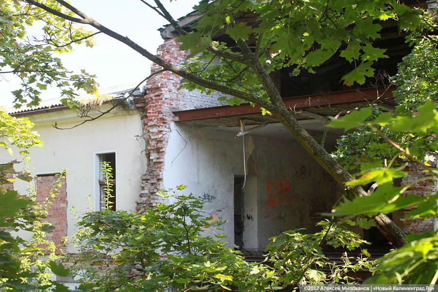 «Куда ушли детские сады»: фоторепортаж «Нового Калининграда.Ru»