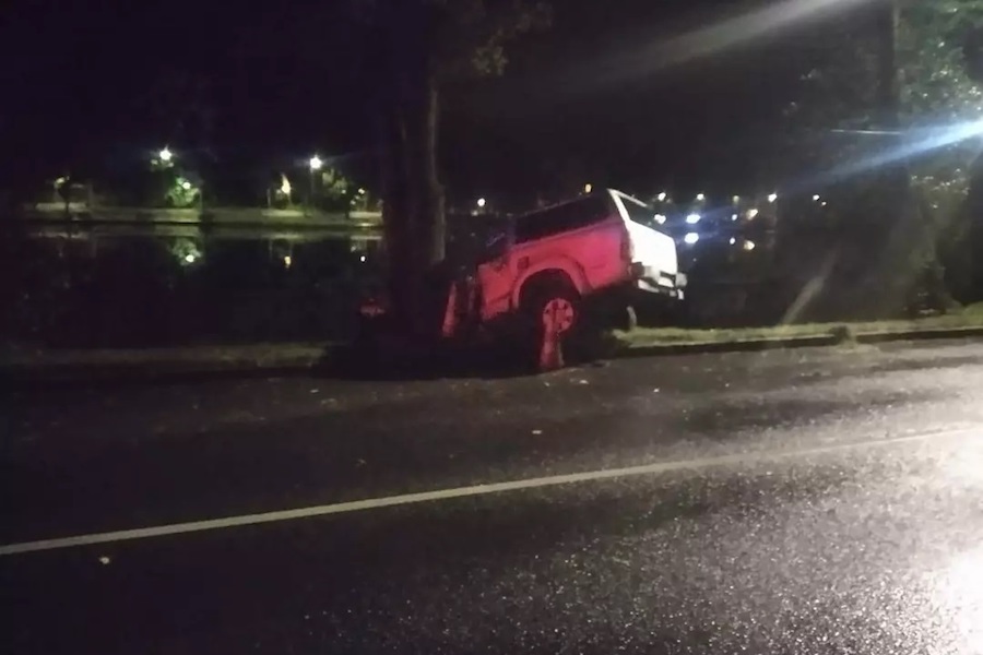 В Светлогорске 18-летний водитель врезался в дерево (фото)