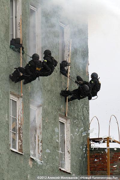 «Под флагом Башара»: фоторепортаж с антитеррористических учений