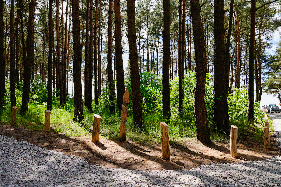 «Не врите мне»: фекалии в воде не портят отдых калининградским купальщикам (фото)