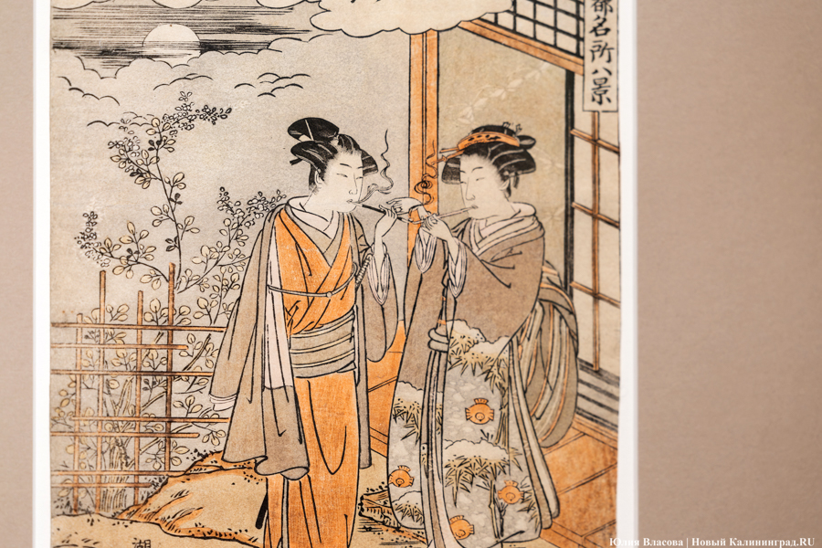 Япония рядом: в Музее изобразительных искусств открылись Дни Эрмитажа (фото)