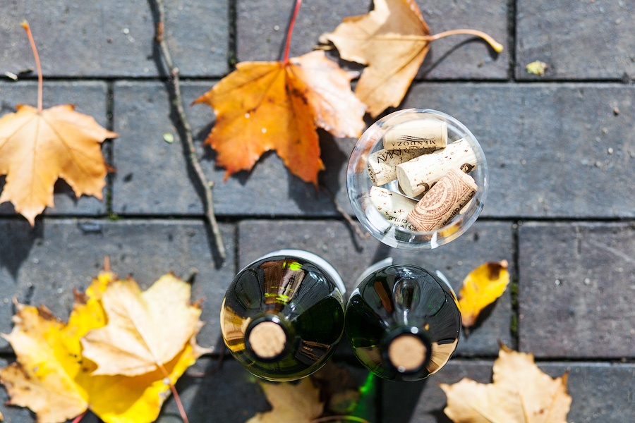  Новое место: магазин напитков «Vinifera» на улице Кутузова