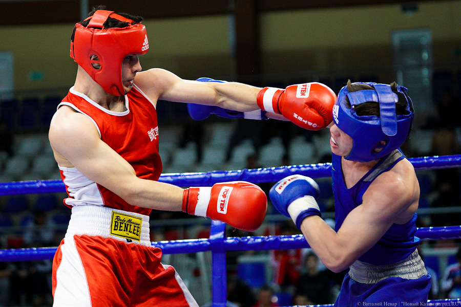 Очередной нокдаун: в Калининграде прошёл международный турнир по боксу «Янтарные перчатки»