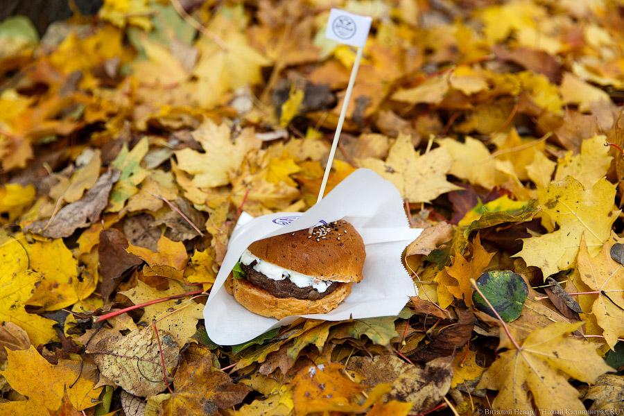Закрытая кухня: как «Kaliningrad Street Food Festival» подвел итоги сезона