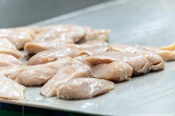 Вечерний @Калининград: куриный взлёт, новогодний табун и туман в объективе