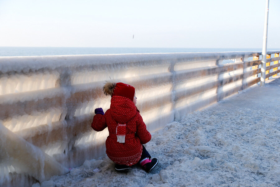 Власти рассказали о мерах поддержки студенческих семей в регионе