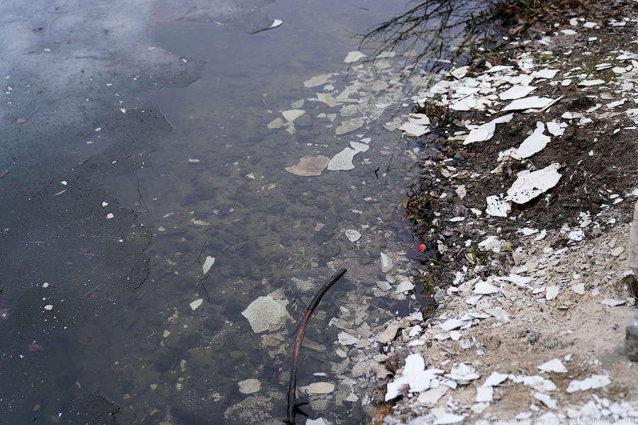 Обвалившаяся штукатурка и не только: благоустроенный за миллионы Нижний пруд после зимы