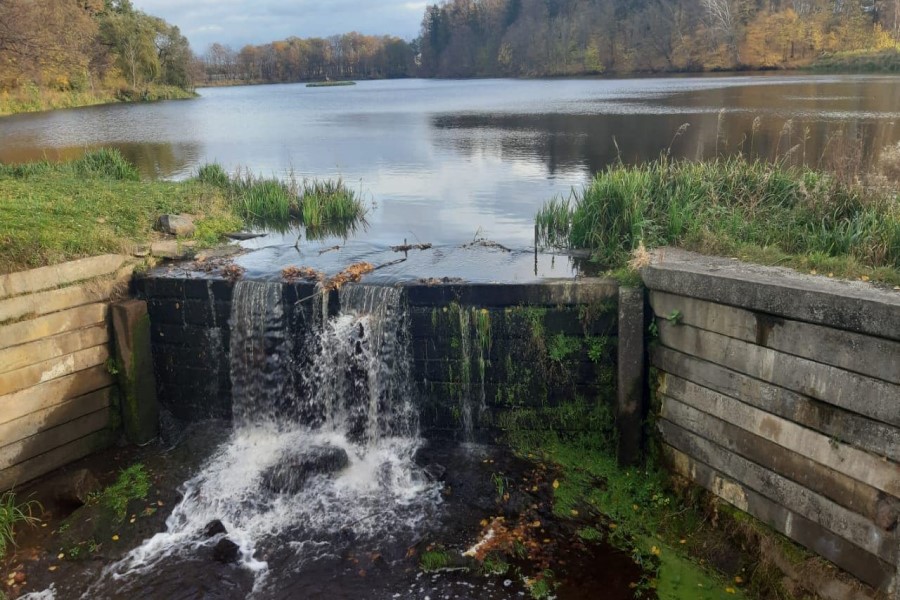 Прокуратура вынудила вернуть в муниципальную собственность пруды в пос. Новоселово