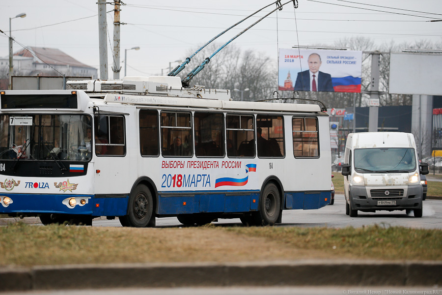 Дятлова о возможном повышении стоимости проезда: «А стоимость бензина все на заправках видят?»