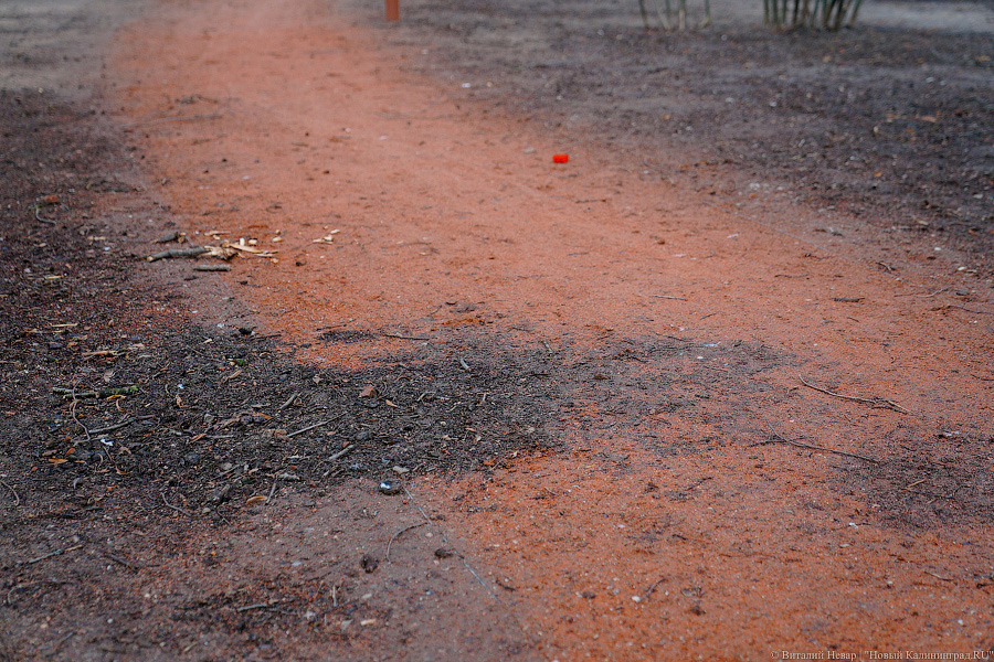 «Грязные» миллионы: во что превратился благоустроенный остров Канта к весне (фото)