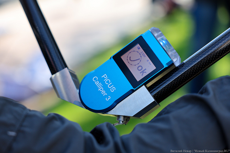 Правило «небуравчика»: власти Калининграда презентовали томограф для деревьев (фото)