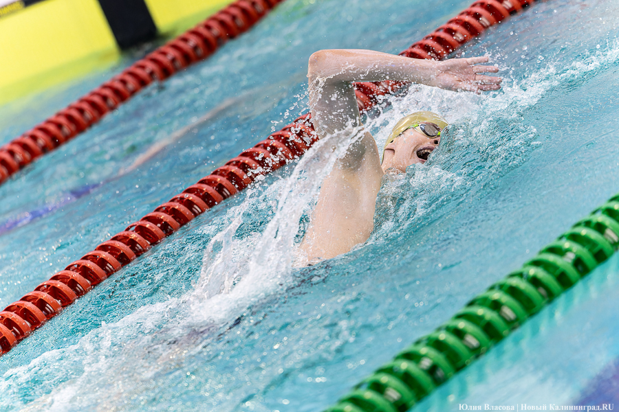 Легкой воды: как Калининград впервые принимал Кубок России по плаванию (фото)