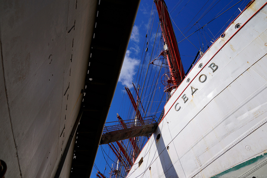 После кругосветки и перед новым рейсом: барк «Седов» проходит ремонт в Светлом (фото)