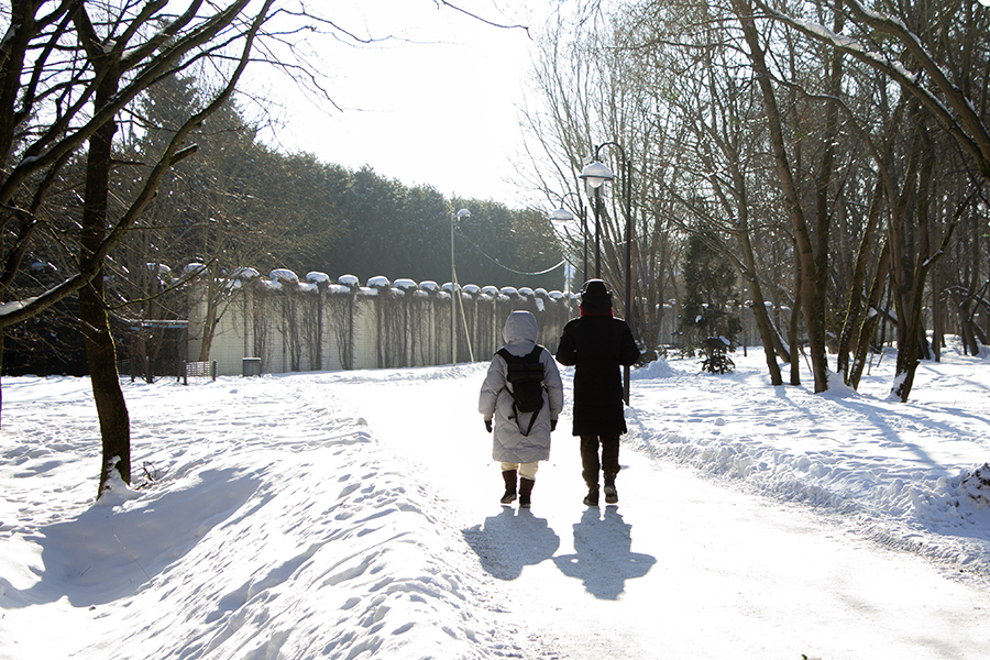 В низменностях до −29°С: погода в Калининградской области 2 февраля