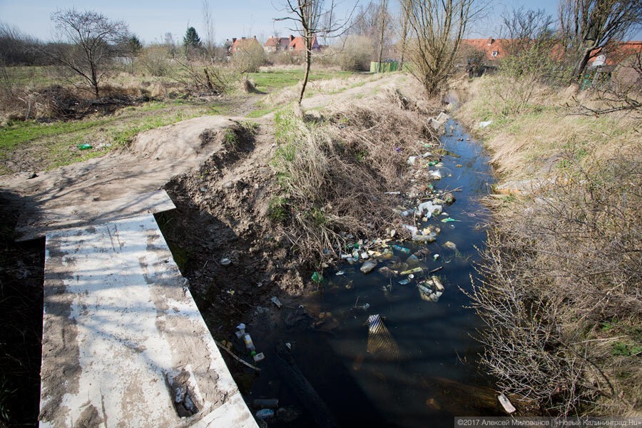 В поселке под Калининградом в канаве с водой нашли тело женщины