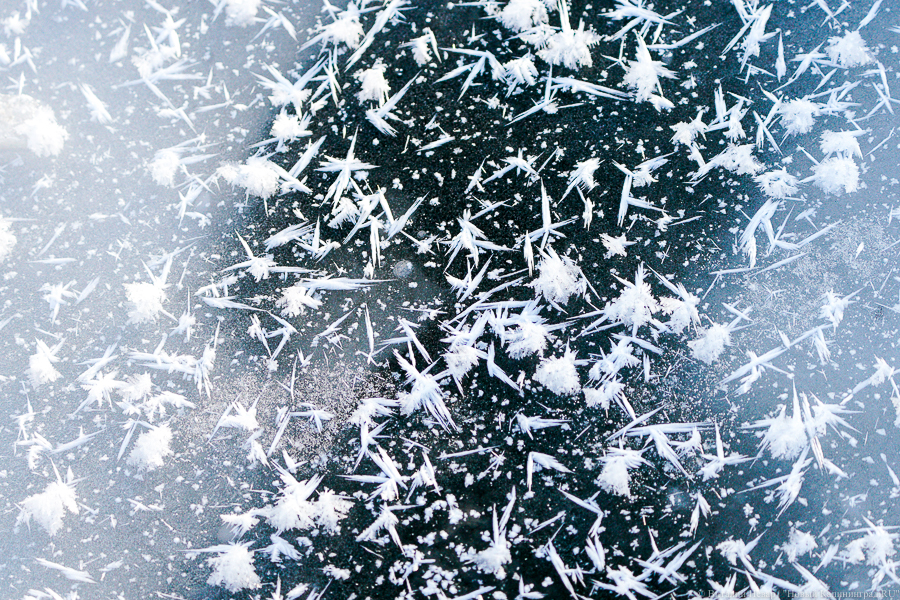 Погода в Калининградской области 31 декабря