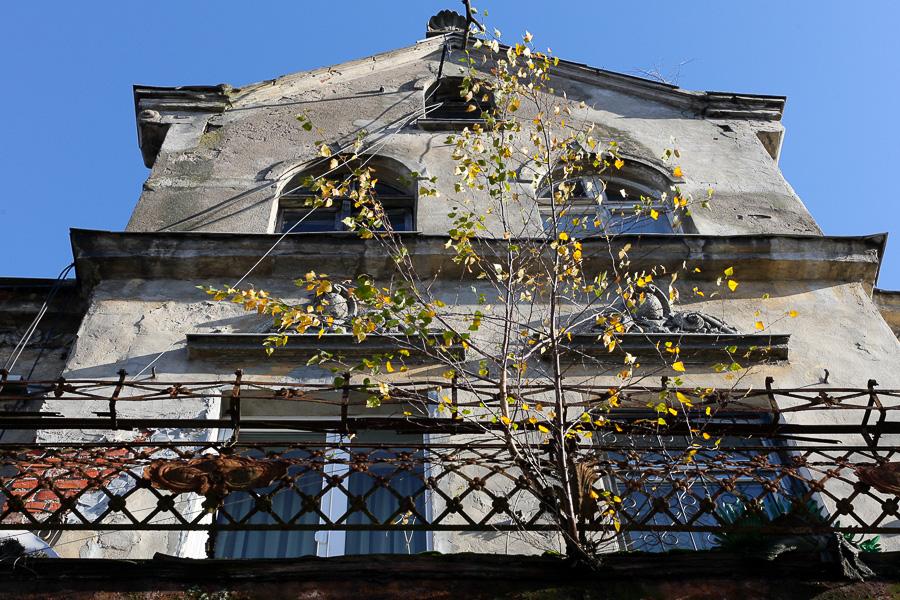 Городок вне табакерки: Тапиау в Гвардейске