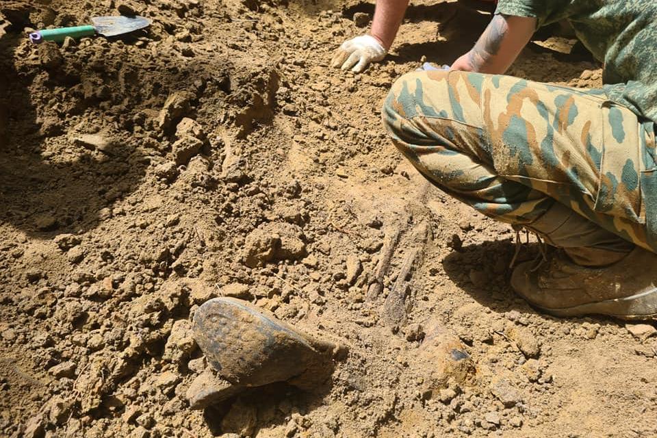 Под Зеленоградском поисковики обнаружили очередную братскую могилу (фото)