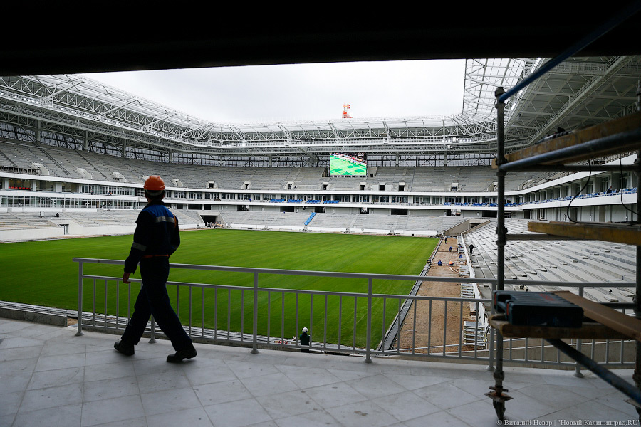 Тонкая настройка: ФИФА проинспектировала строящийся стадион в Калининграде